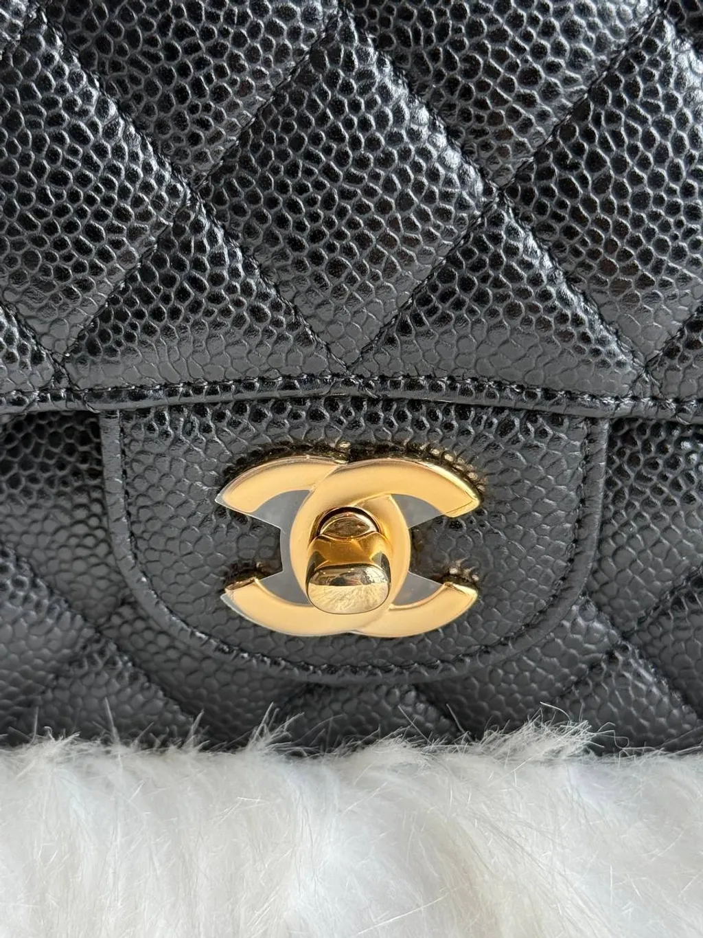 6208254040030778473 (1)